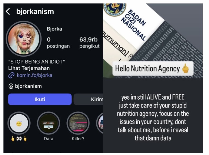 Geger! Bjorka Asli Akui Masih Bebas, Ancam Retas Data BGN, Lalu Siapa Bjorka yang Ditangkap Polisi?